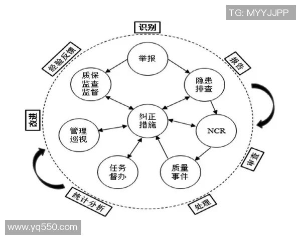 深圳网球队运营分析：成功经验与面临挑战的全面探讨